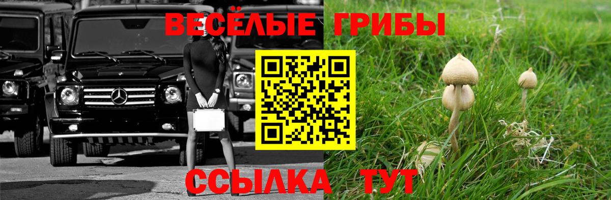 Галлюциногенные грибы GOLDEN TEACHER Прокопьевск