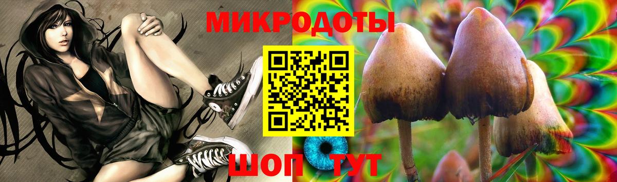 наркота  Псилоцибиновые грибы Psilocybe  Вход с VPN  Прокопьевск 